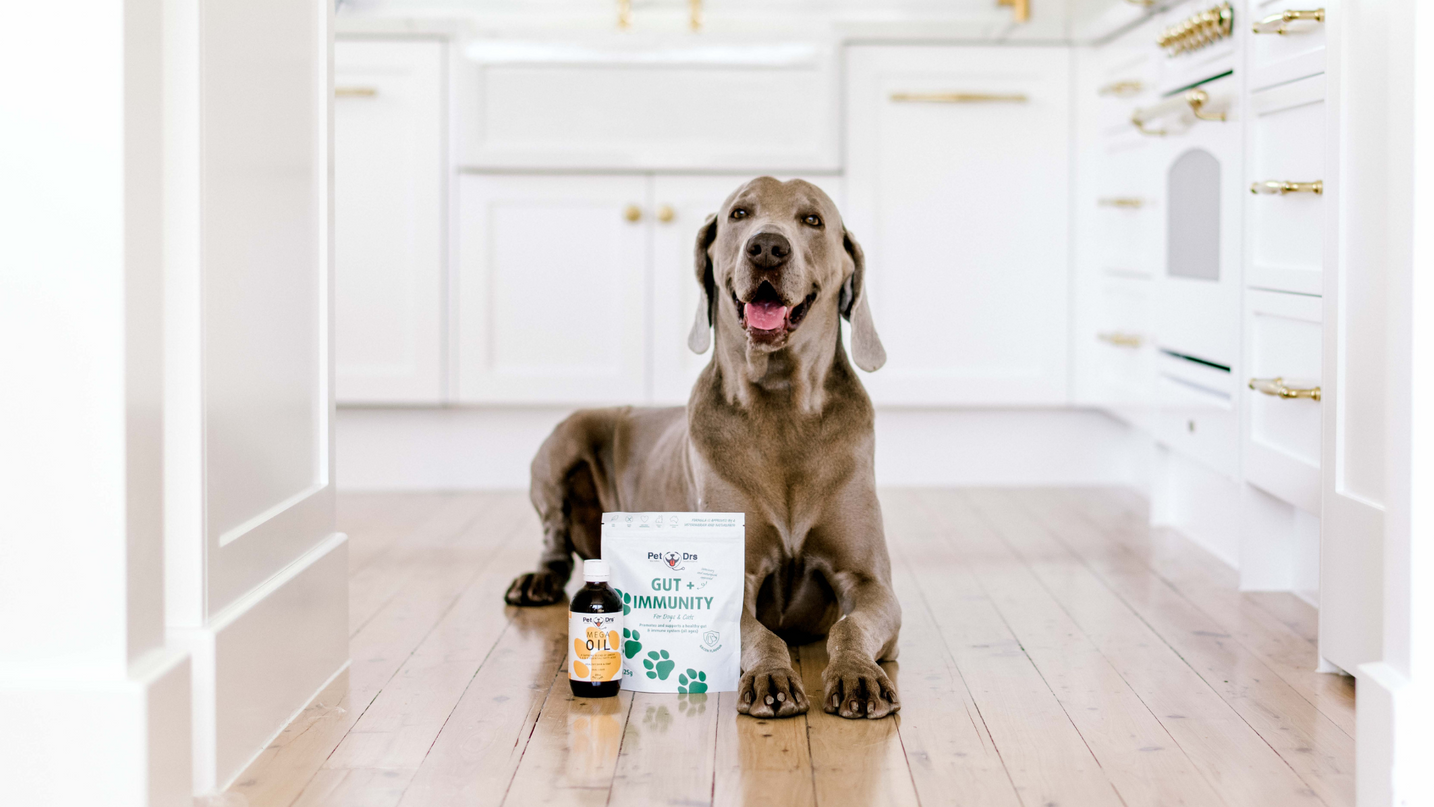 What Holistic Pet Care Means To Us