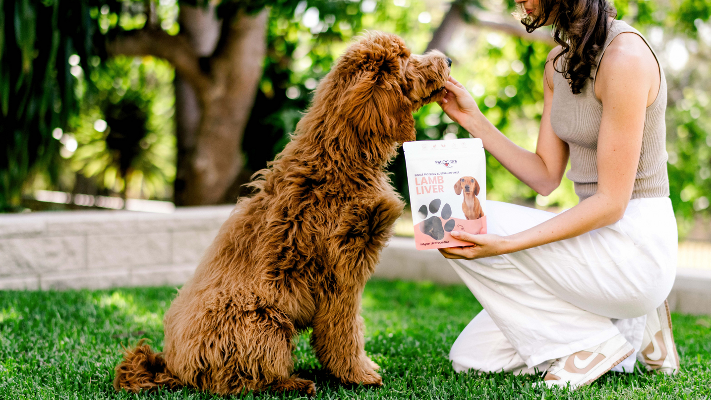 The Paws-itive Power of Single-Ingredient, Natural Dog Treats