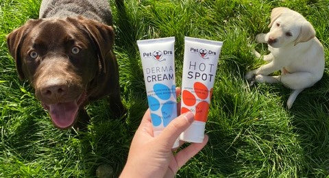 Hotspots- What are they and Treatment.