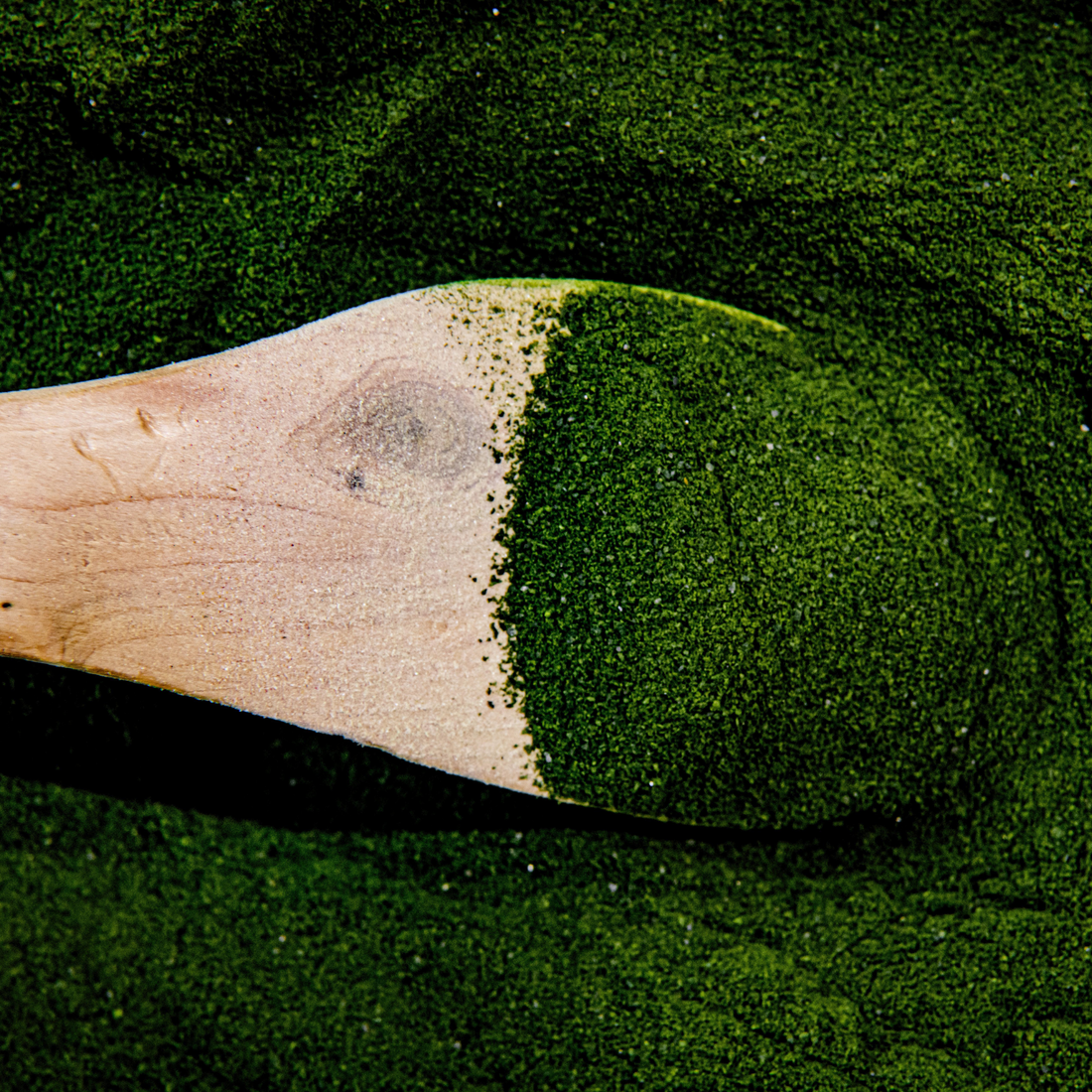 Phytoplankton Omega & Multi