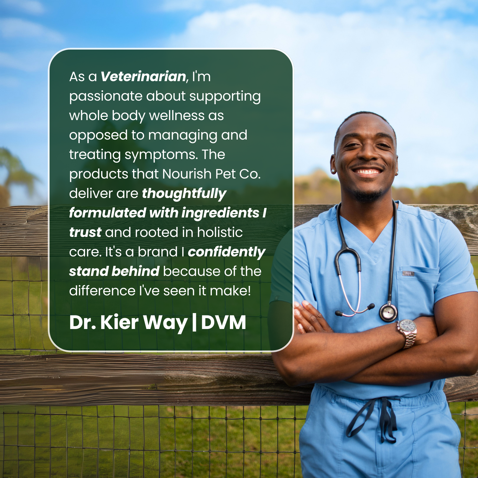 Skin, Gut + Dental Bundle