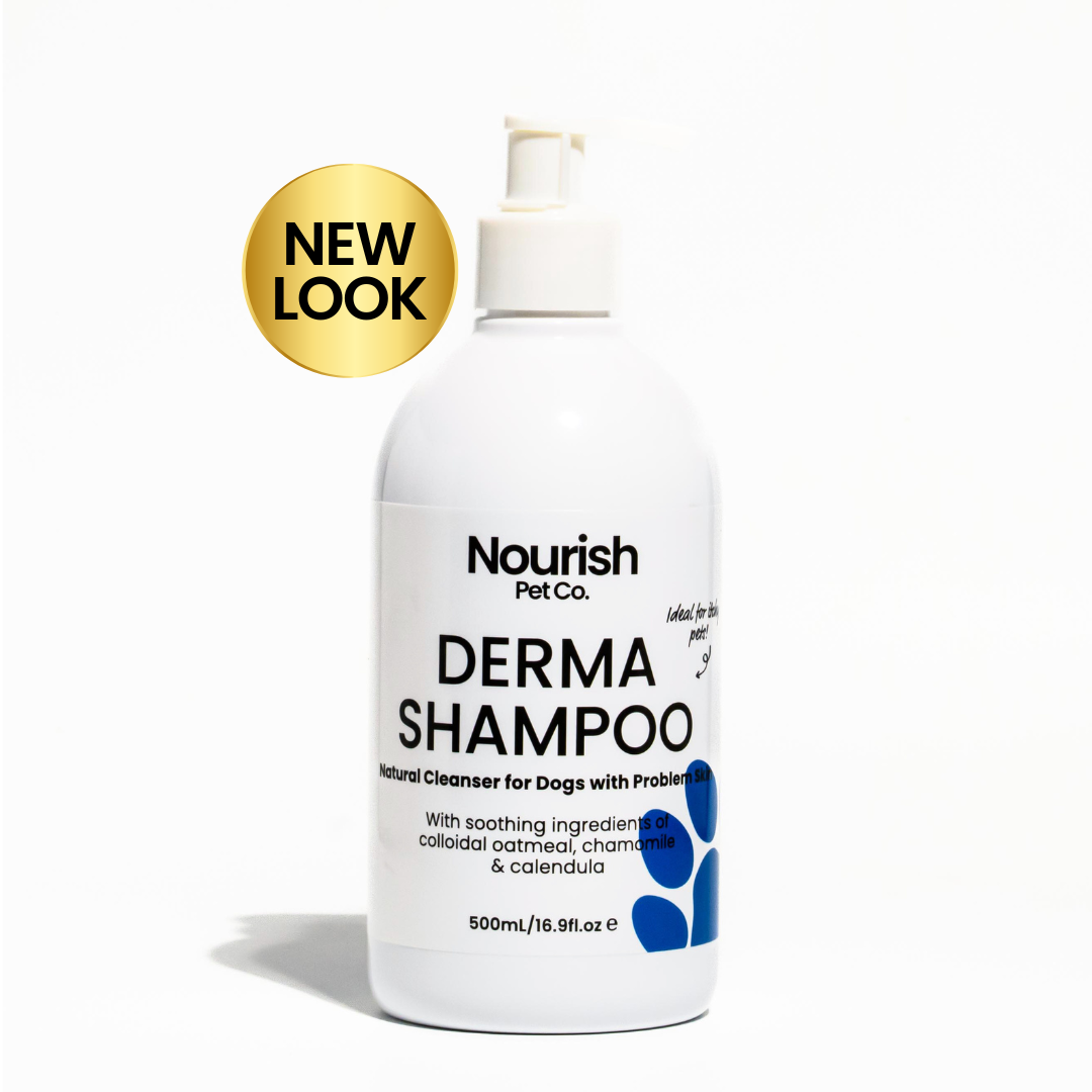 Derma Shampoo