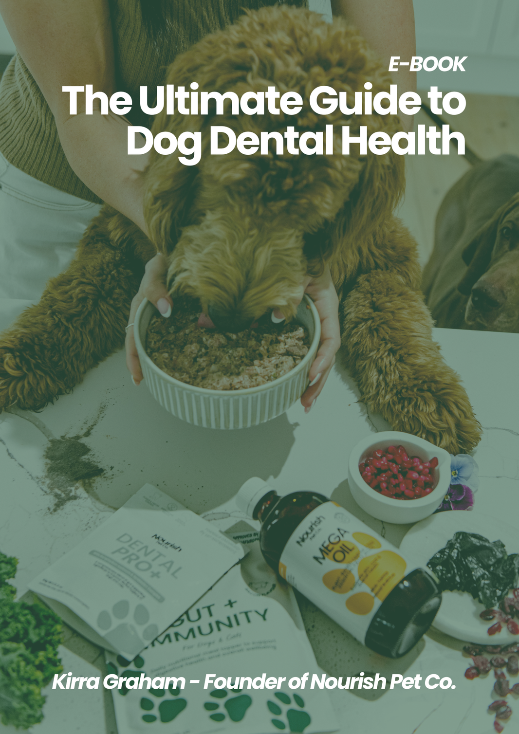 The Ultimate Guide To Dog Dental Health