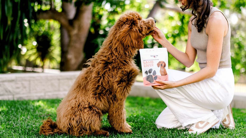 The Paws-itive Power of Single-Ingredient, Natural Dog Treats