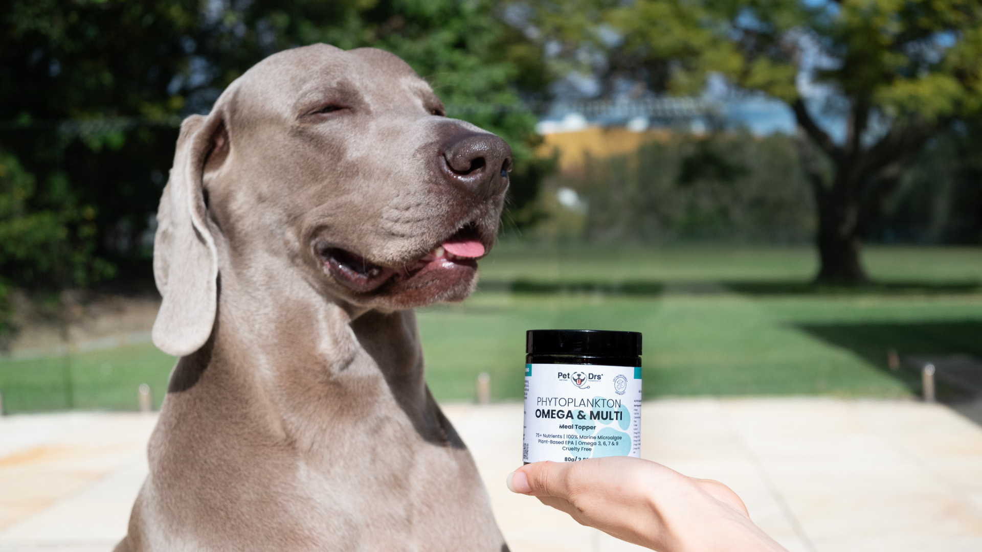 The Way of the Future: Sustainable Omega 3 for our Pets