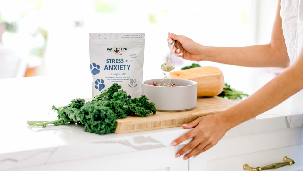 The Gut-Brain Connection: How an Imbalanced Gut Impacts Stress and Anxiety in Dogs
