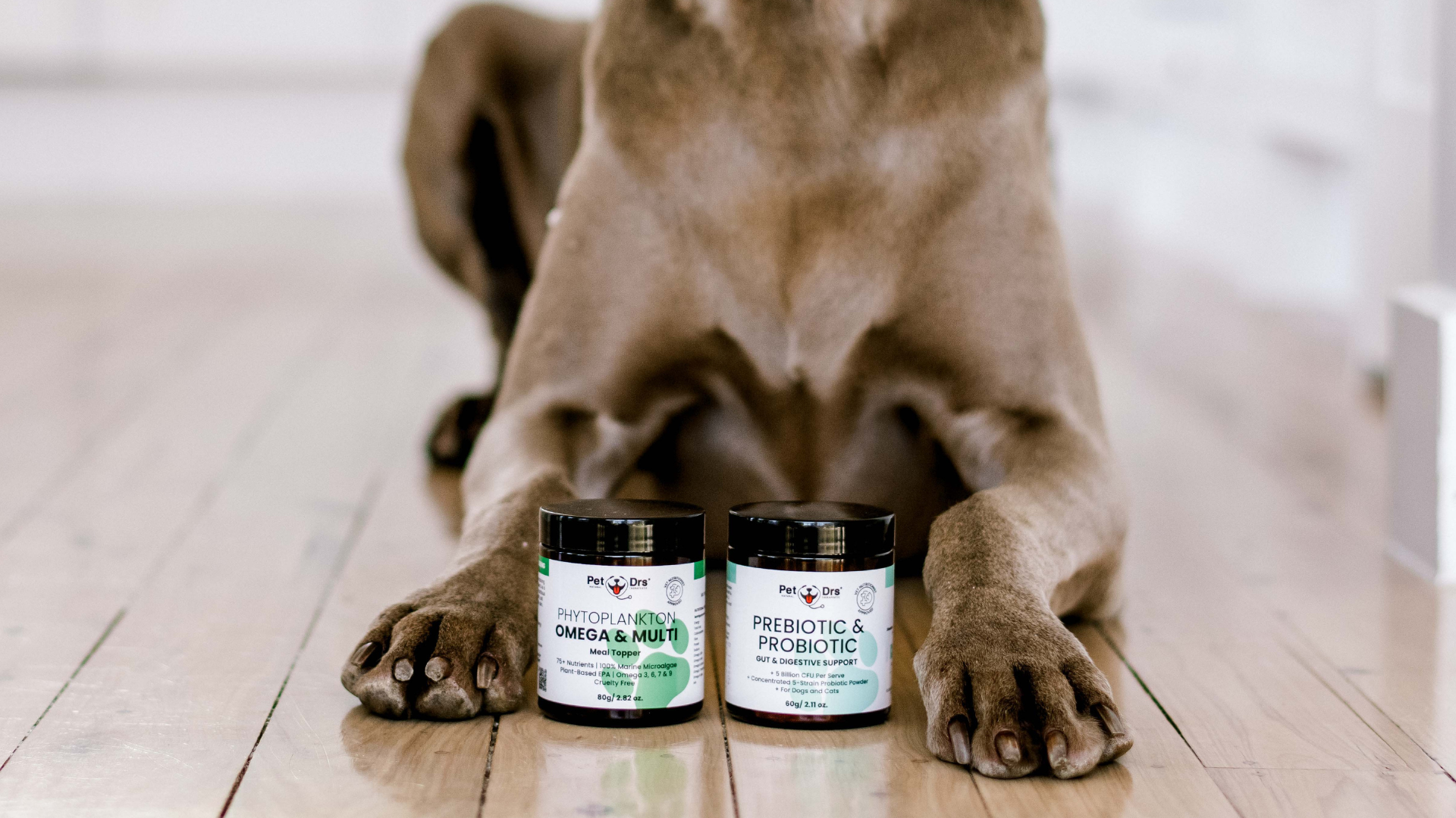 Two Must Have Supplements for your Dog! – Nourish Pet Co.