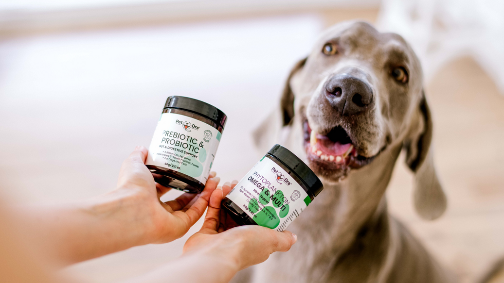 The Ultimate Guide to Optimal Gut Health