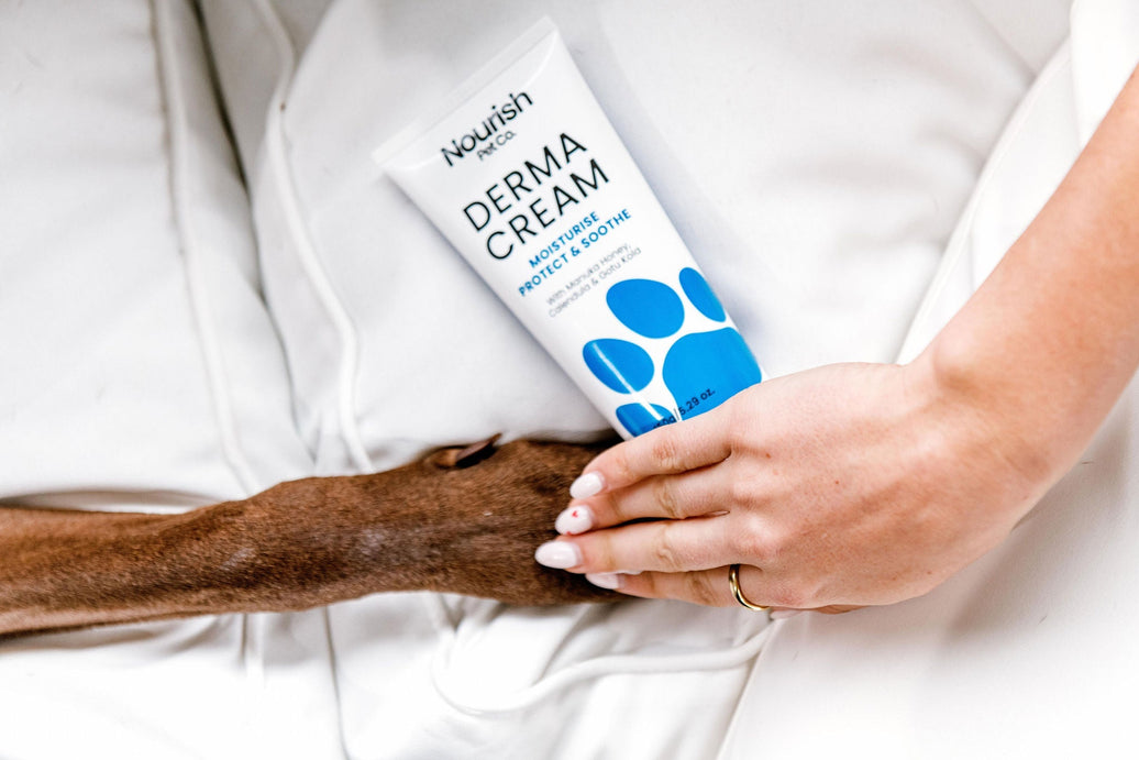 5 Natural Ingredients That Support Skin Health in Dogs: Caring for Dog Skin Naturally