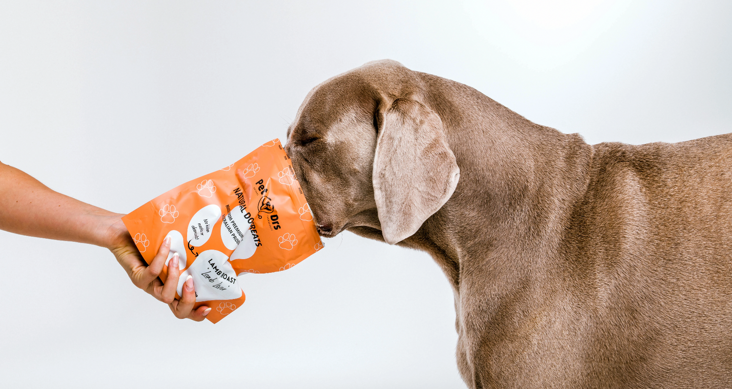 Why We Love Novel Protein Treats