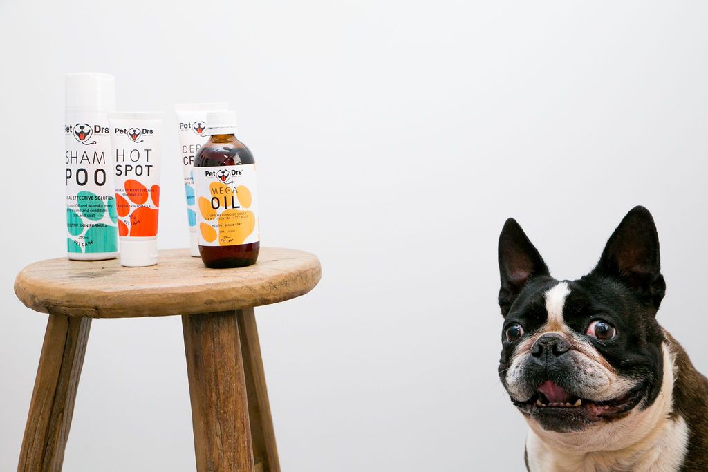 Dogs Have Allergies?