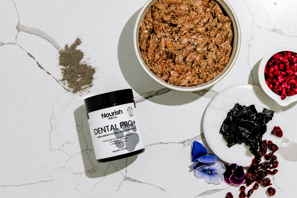 Get Rid Of Stinky Dog Breath For Good!