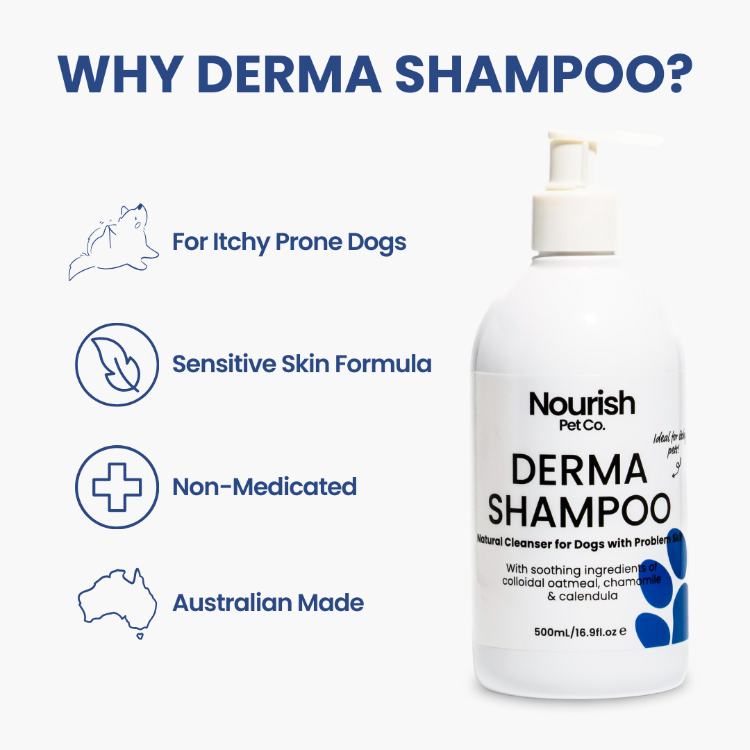Derma Shampoo