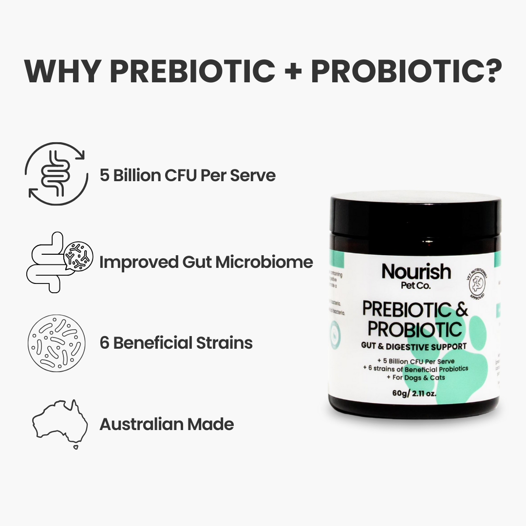 Prebiotic & Probiotic
