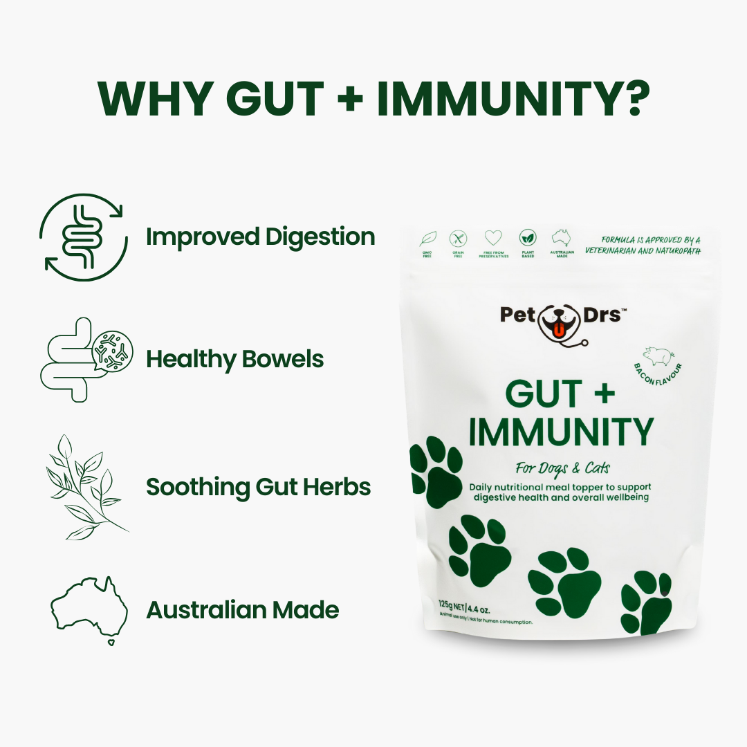 Gut + Immunity