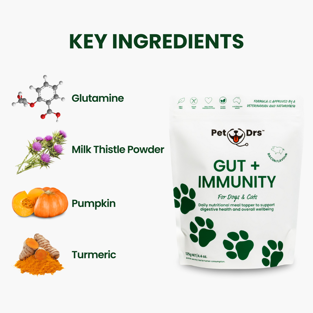 Gut + Immunity