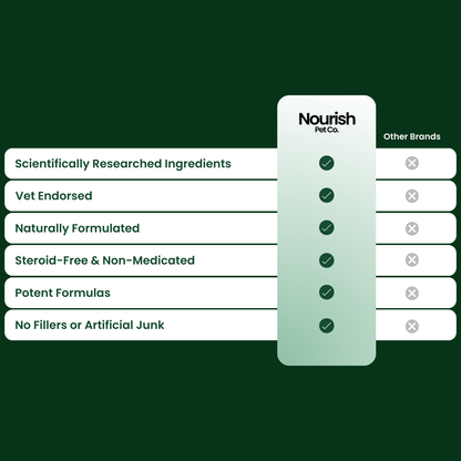 Skin, Gut + Dental Bundle