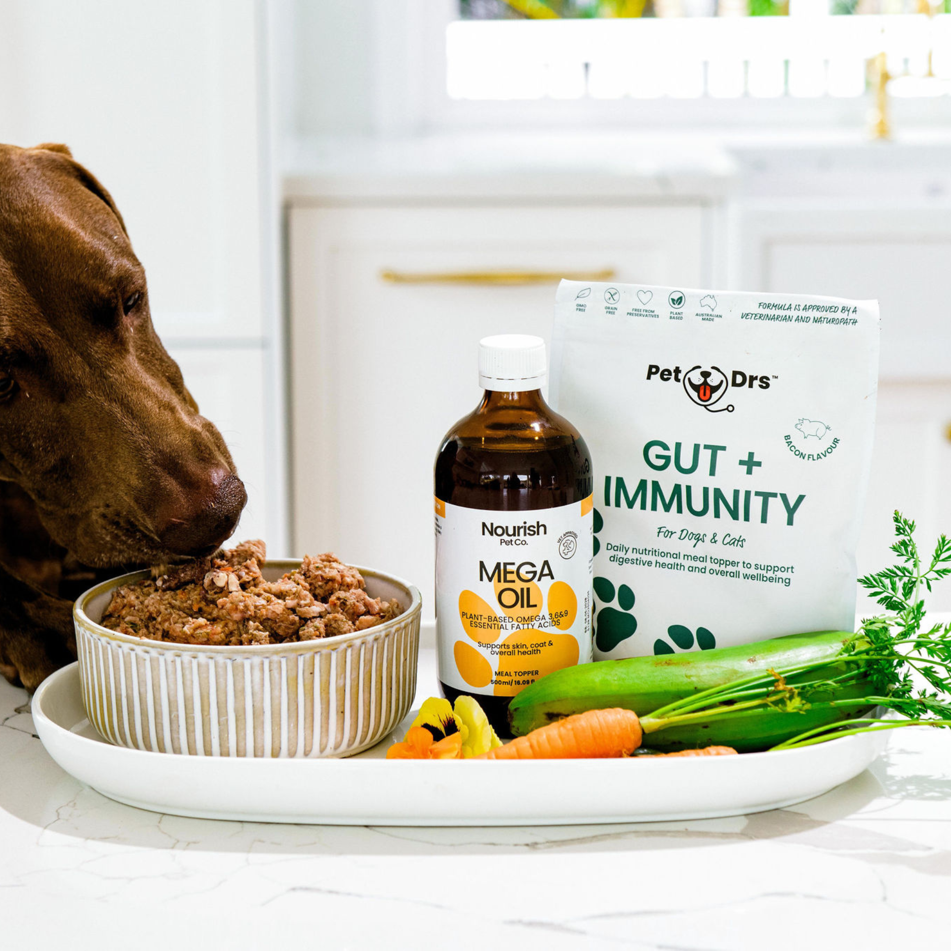 Gut + Immunity