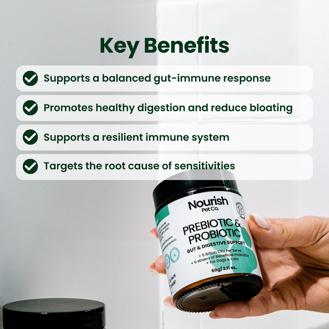 Prebiotic & Probiotic