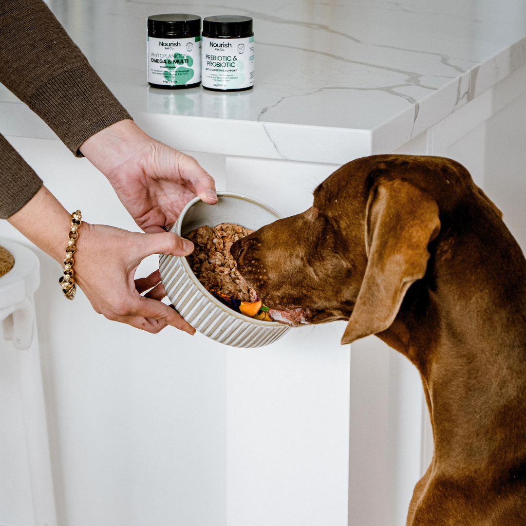 Prebiotic & Probiotic