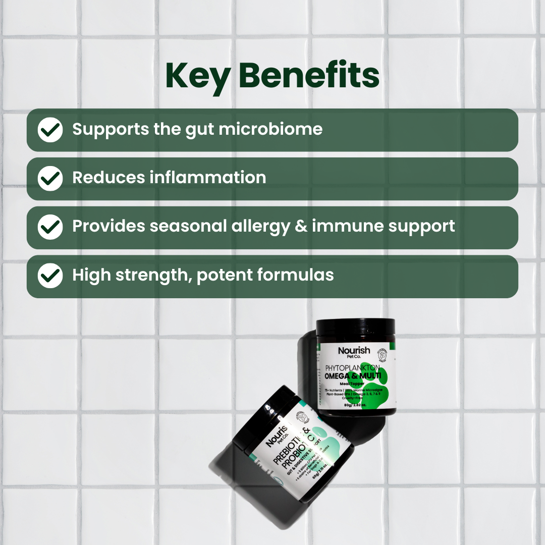 Skin + Gut Program