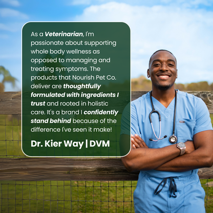 Skin, Gut + Dental Bundle