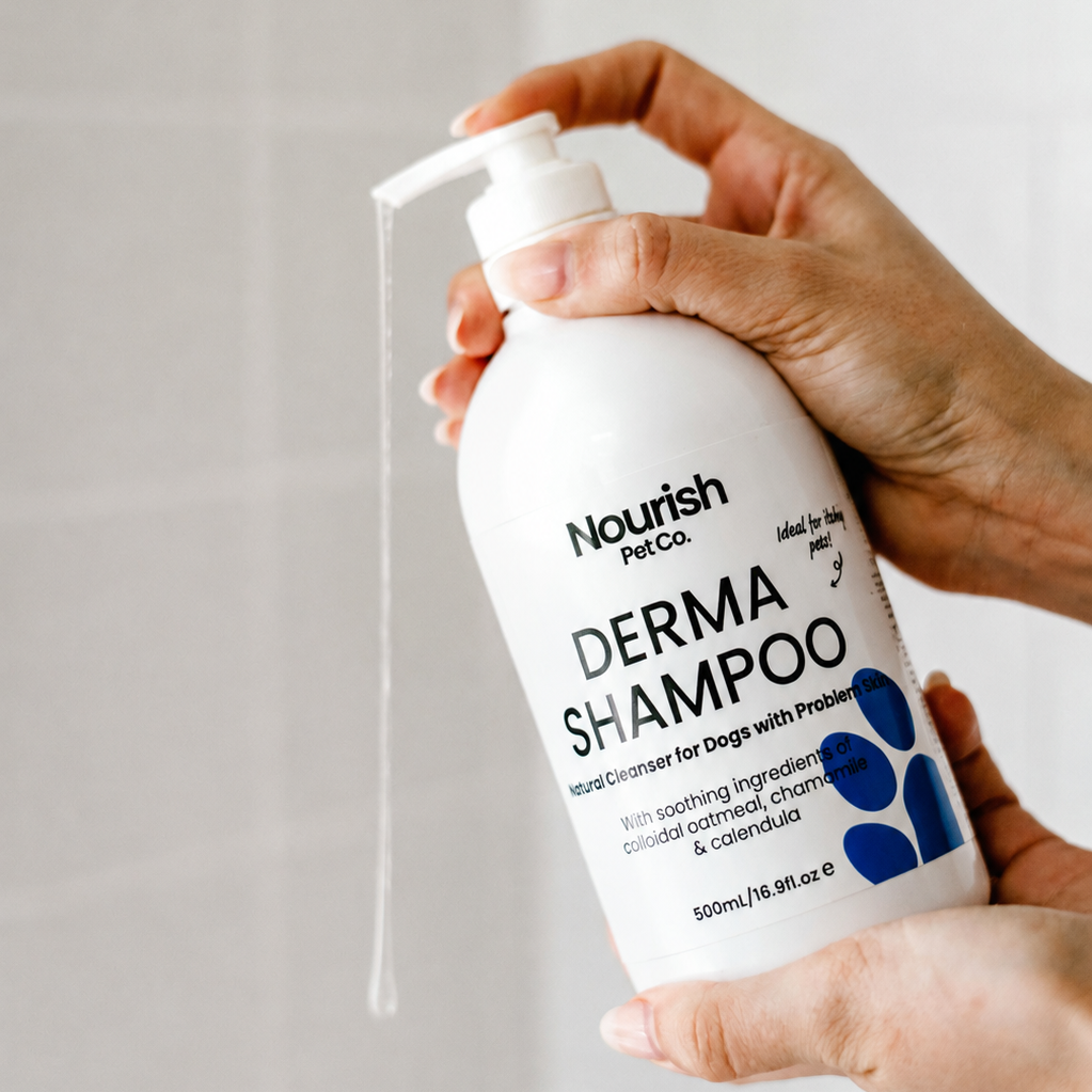 Derma Shampoo