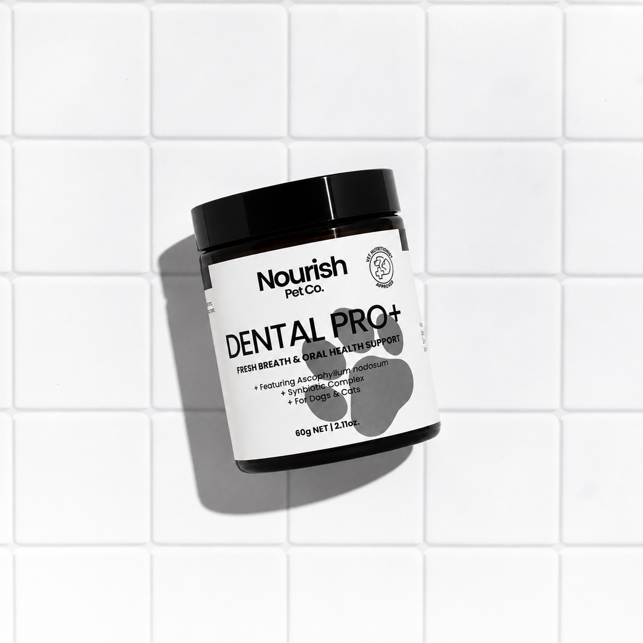Dental Pro+