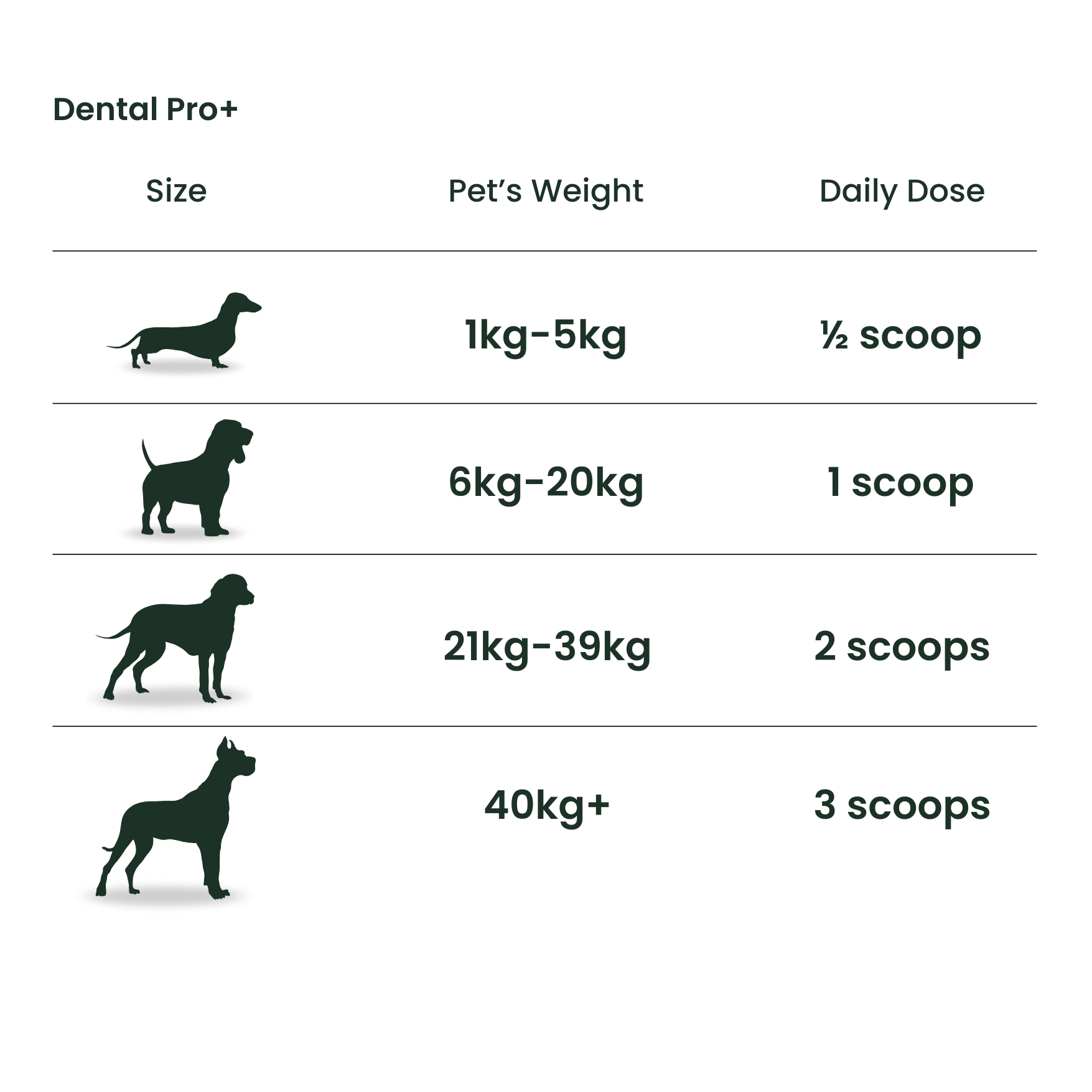 Dental Bundle