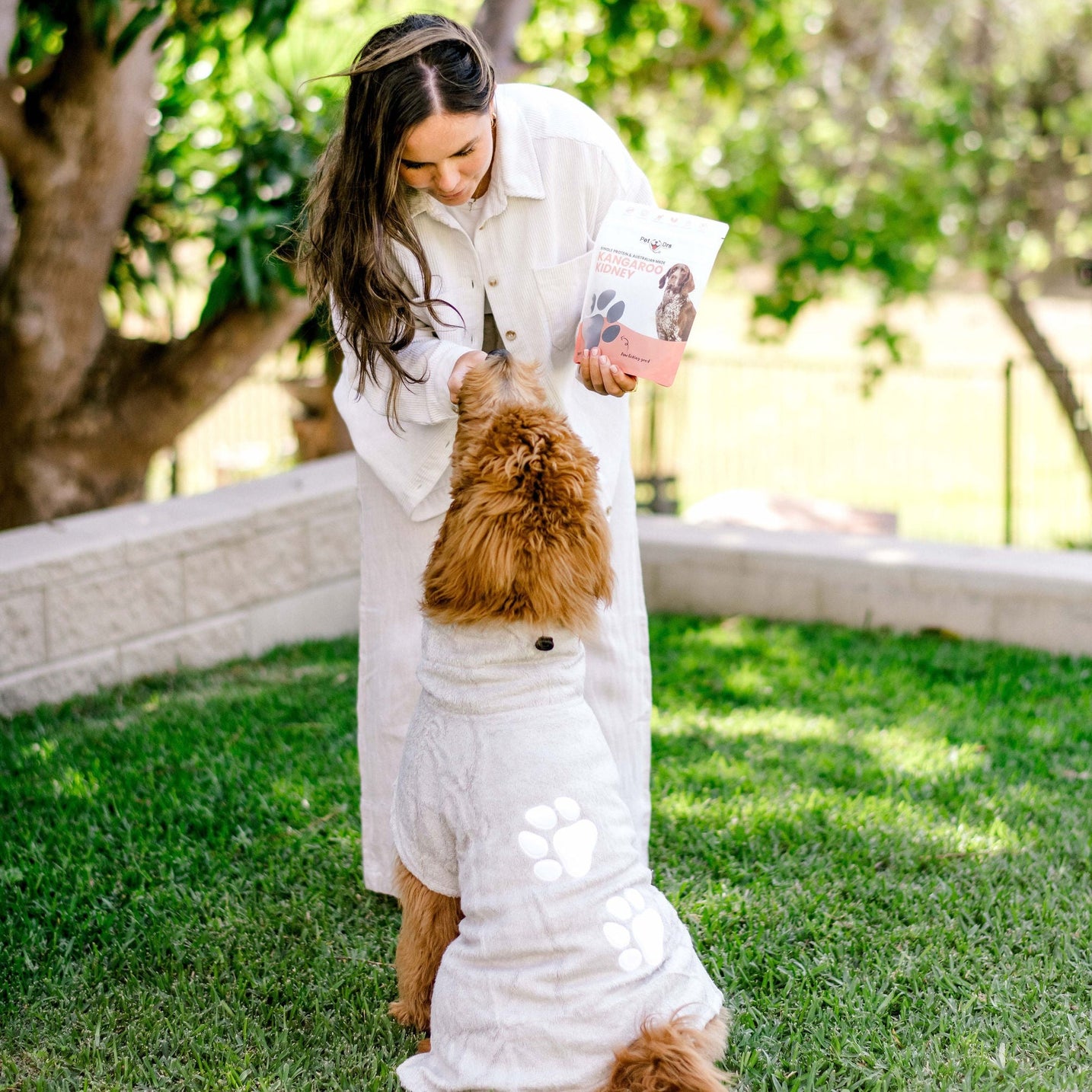 Dog Robes