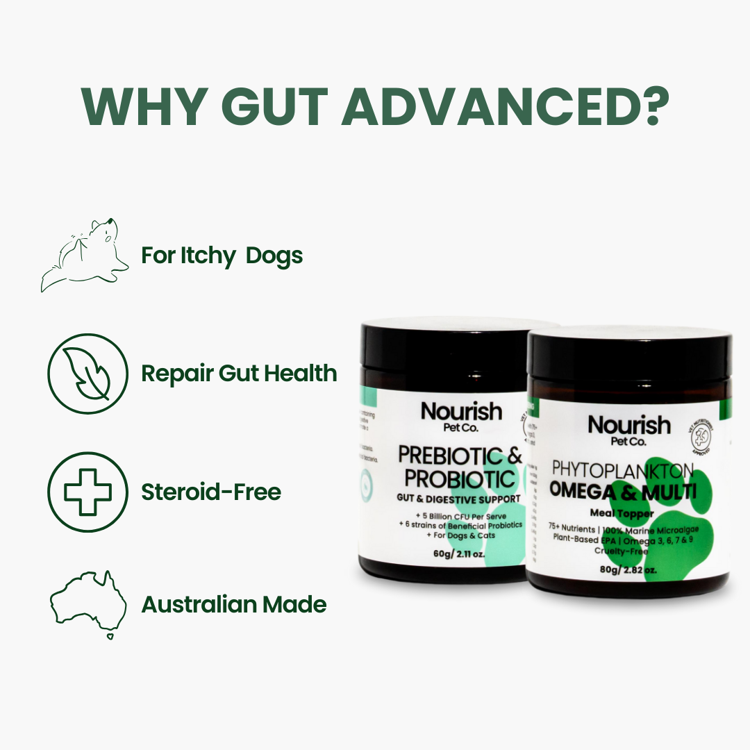 Gut Advanced Pack
