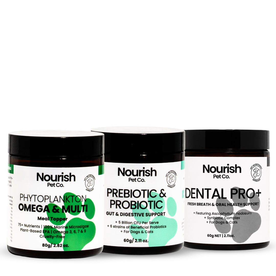 Skin, Gut + Dental Bundle