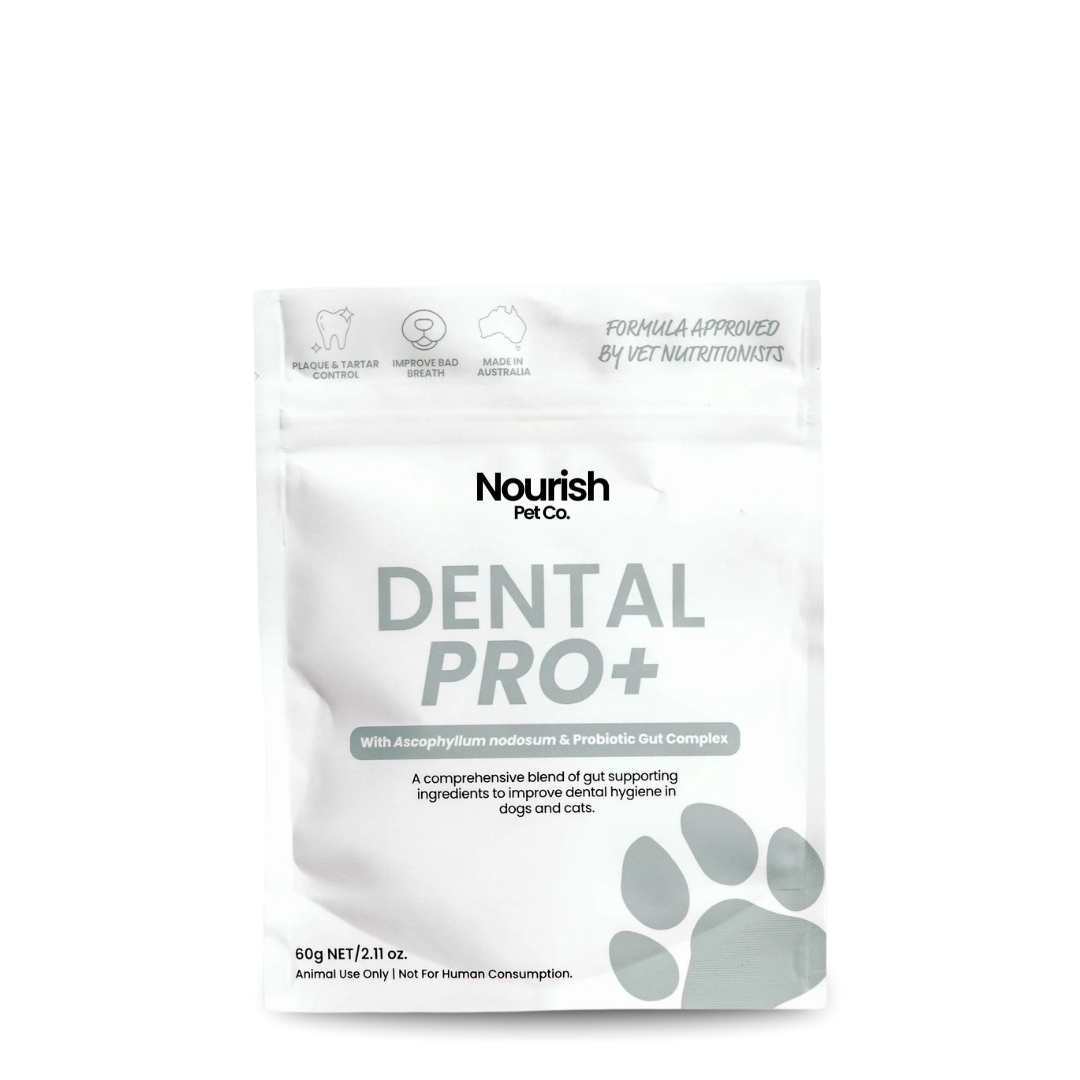 Dental Pro+