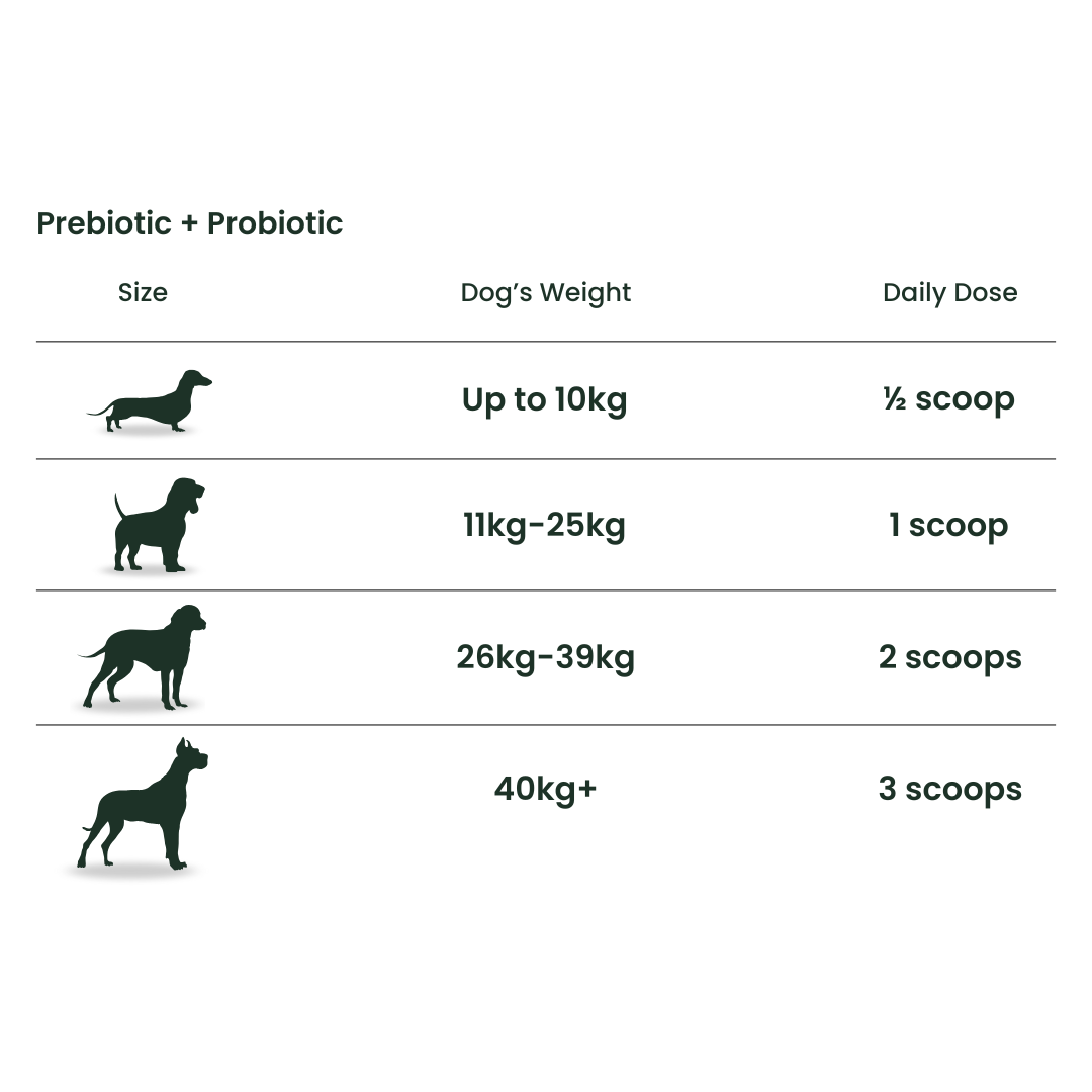 Prebiotic & Probiotic
