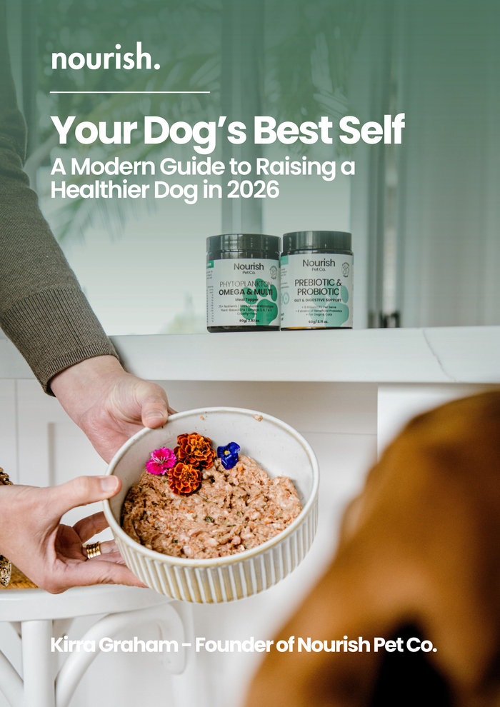 Your Dog's Best Self - eBook